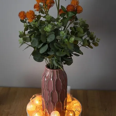 Silver 두슈니키 즈드로지