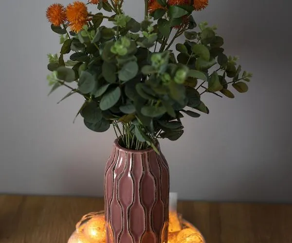 Silver 두슈니키 즈드로지