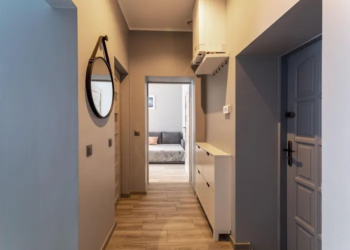 Silver 두슈니키 즈드로지